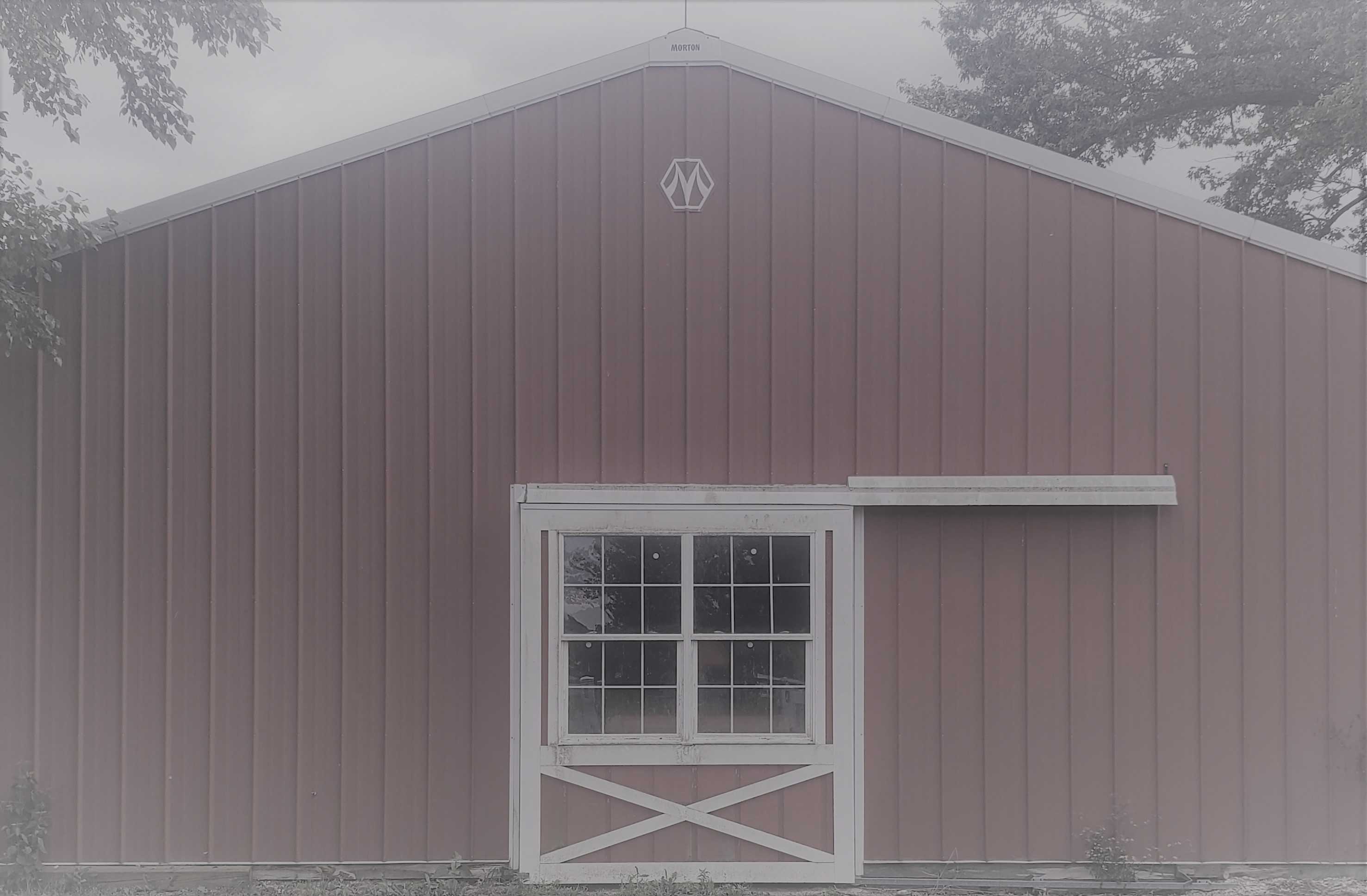 George's Clearance Shed