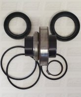 Bearing Kit fits SD309  — American Turbine