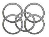 Individual Shims— Fit American Turbine, Dominator, and Jacuzzi Energizer Jet Pumps