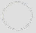 PTFE O-Rings fit HTRII RSK2101-R1007 — Fig. No. 72