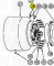 Oil Plugs fit OEM Legend 120G — Fig. No. 28